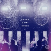 Peace Came Down (Live) artwork