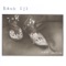 Devil's Daughter - Hank Williams III lyrics