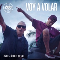 Voy a Volar (feat. Ñengo El Quetzal) - Single - Zimple