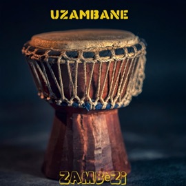 Bazokhuluma (feat. Nhlanhla Shangase) Zambezi
