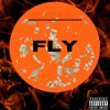 Fly - Single