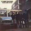 Flamin Groovies