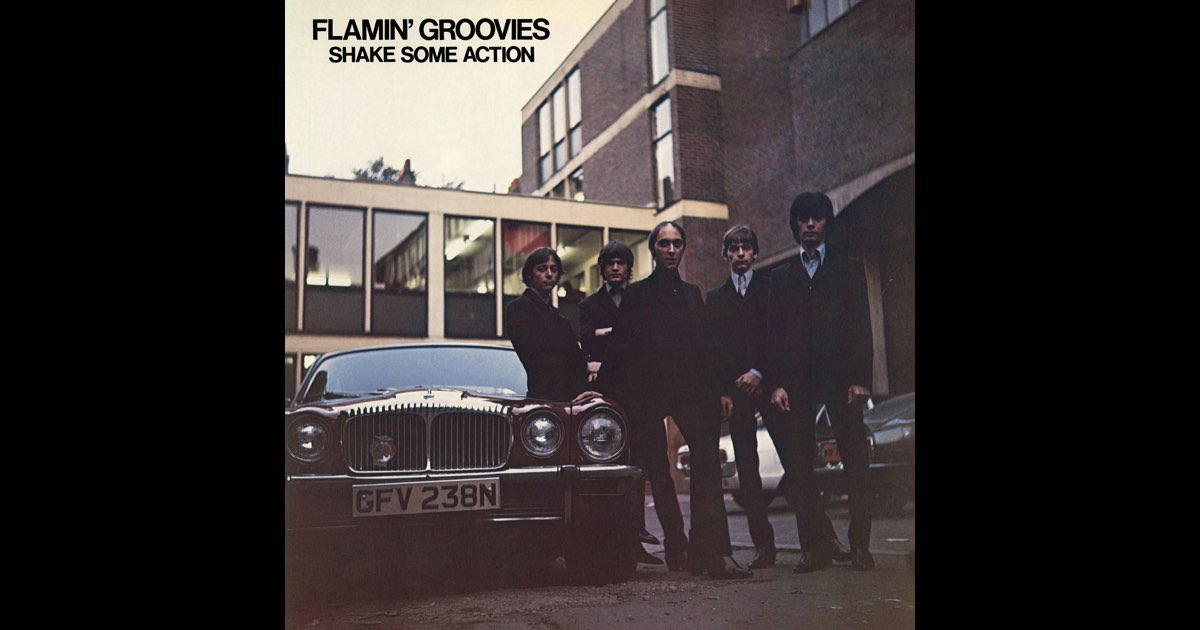 超歓迎された by Album - Action Some Shake Flamin' Music Apple - Groovies 洋楽