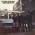 Flamin' Groovies - You Tore Me Down