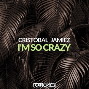 I'm so Crazy - Single
