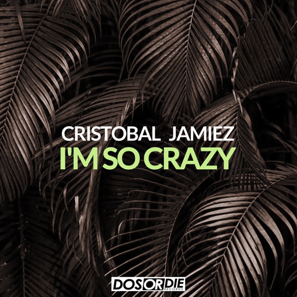 I'm so Crazy - Single