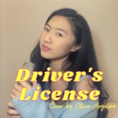 Driver's License artwork