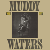 King Bee - Muddy Waters
