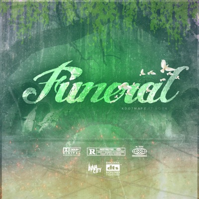 Funeral (feat. Hook) - Single