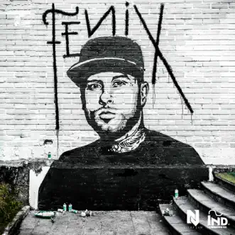 Si Tú La Ves (feat. Wisin) by Nicky Jam song reviws