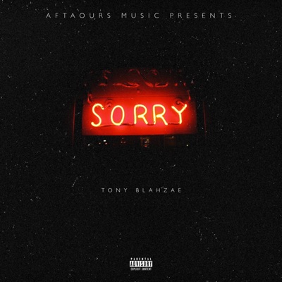 I'm Sorry - Single