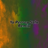 Yo Perreo Sola (feat. Los de la Nave, Mc Aash & Ribert Music) [Remix] artwork