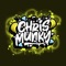 We Make This (feat. Vida Sunshyne & Mista Monk) - Chris Munky lyrics