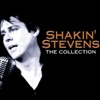 Shakin' Stevens & Hank Marvin