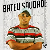 Bateu Saudade - Single - Mc DL