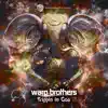 Warp Brothers - Trippin in Goa
