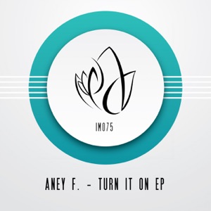 Turn It On - Single