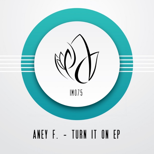 Turn It On - Single