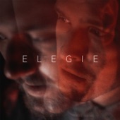 Elegie (feat. John Wolfhooker) artwork