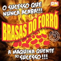 Brasas do Forró, Vol. 17: O Sucesso Que Nunca Acaba!!! - Brasas do Forró