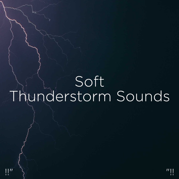 !!" Soft Thunderstorm Sounds "!!