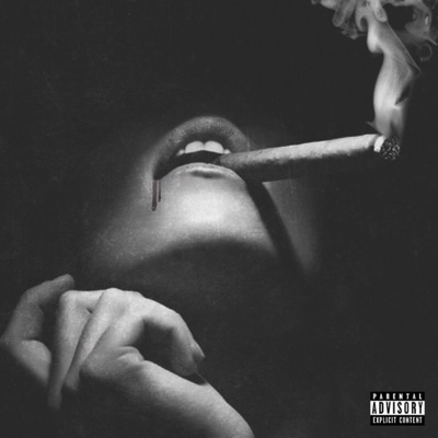 She Said (feat. Francesco.Vos) - Single