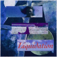 Liquidation - Single - Cam Steen