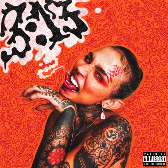 Cover artwork for INTRO