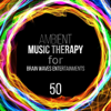 Ambient Music Therapy for Brainwaves Entertainments: 50 Complete Study Relaxation & Zen Guided Meditation for Deep Focus, Mindfulness, Concentration, Improve Memory and Exam - Brain Stimulation Music Collective