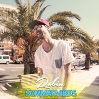 Sommarvibes - Single - Robinholta