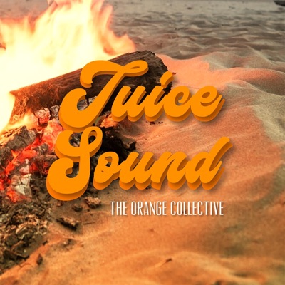 Juice Sound (feat. Vynz, Speak Life 310, Nblzameer, Wiim & Mr. Fully) - Single