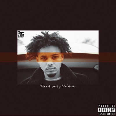 I'm Not Lonely, I'm Alone. - Single