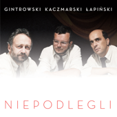 17 IX - Polska Orkiestra Sinfonia Iuventus, Monika Wolinska &amp; Przemysław Gintrowski Cover Art