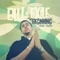 Things We Say (feat. Aloe Blacc) - Blu & Exile lyrics