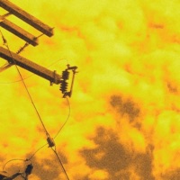 homegrown (feat. bravo) - Single - Pulp Cruz