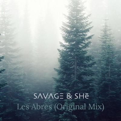 Les Abres - Single