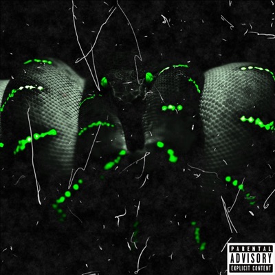 Slimez (feat. GEOVONNIEx) - Single
