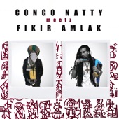 Congo Natty Meetz Fikir Amlak artwork