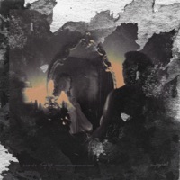 Shrink - Single - Tunji Ige