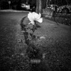 Concrete Flowers - Single