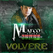 Volveré artwork