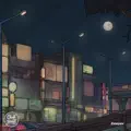 Moonlight Vibes