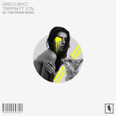 Trippin (feat. XTN) - Single