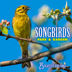 Songbirds: Park &amp; Garden (Over 25 Beautiful Bird Songs &amp; Sounds) - Echoes Of Nature Cover Art