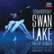 Swan Lake, Op. 20, Scène: (Allegro giusto) artwork