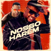 Nosso Harém - Single - MC Will Catchorro & Caverinha