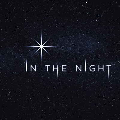 In The Night - Single