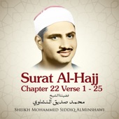 Surat Al-Hajj , Chapter 22 Verse 1 - 25 artwork