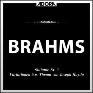 Variationen über ein Thema von Joseph Haydn für Orchester, Op. 56 A: Variation I bis VIII - Finale