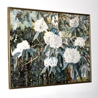 Fade Eventually - Single - Ray Alex